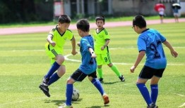 最新足球新爆料,最新爆料揭秘神秘转会真相